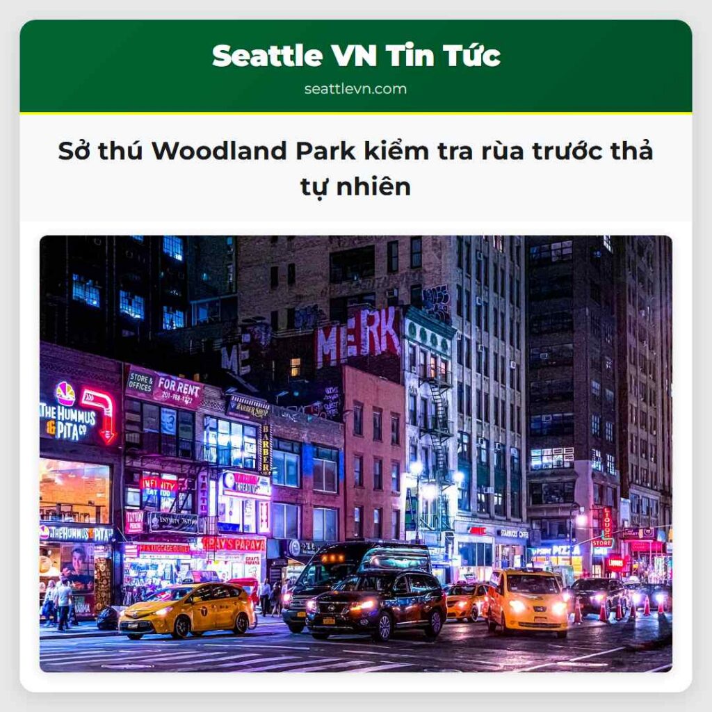 Sở thú Woodland Park kiểm tra rùa trước thả tự