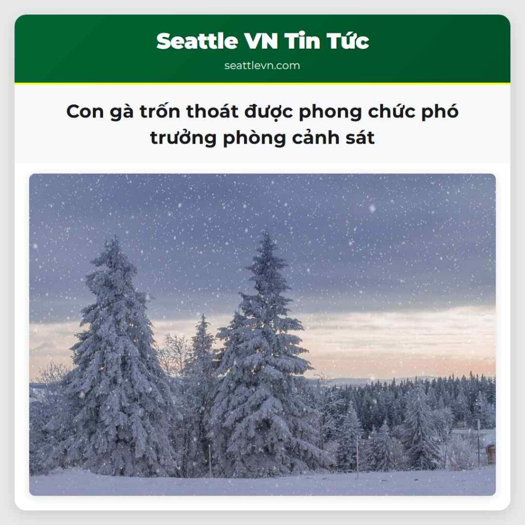 Con gà trốn thoát được phong chức phó trưởng