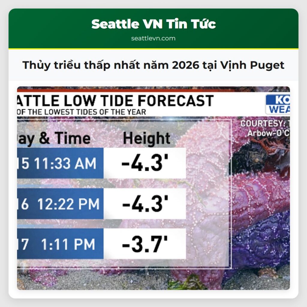 Thủy triều thấp nhất năm 2026 tại Vịnh Puget