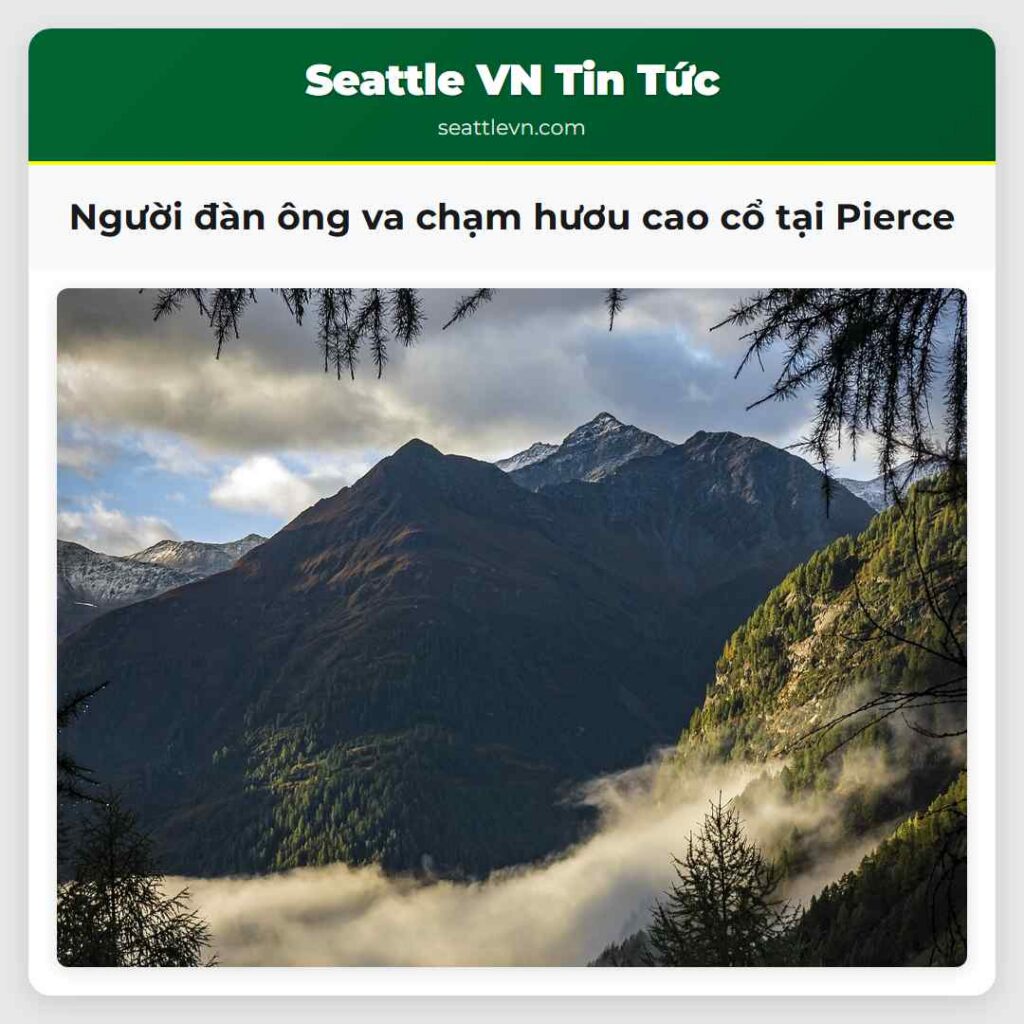 Người đàn ông va chạm hươu cao cổ tại Pierce