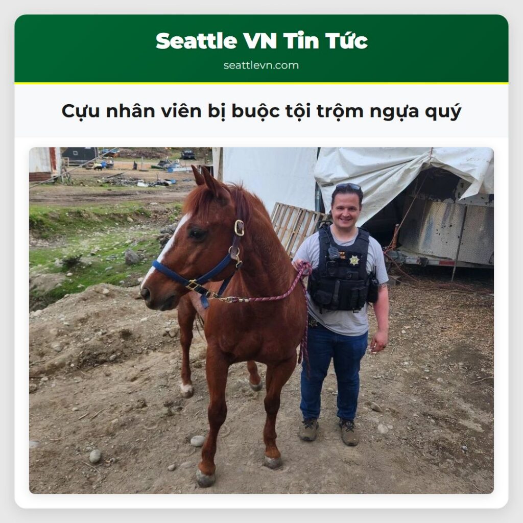 Cựu nhân viên bị buộc tội trộm ngựa quý