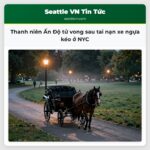 Thanh niên Ấn Độ tử vong sau tai nạn xe ngựa kéo ở NYC