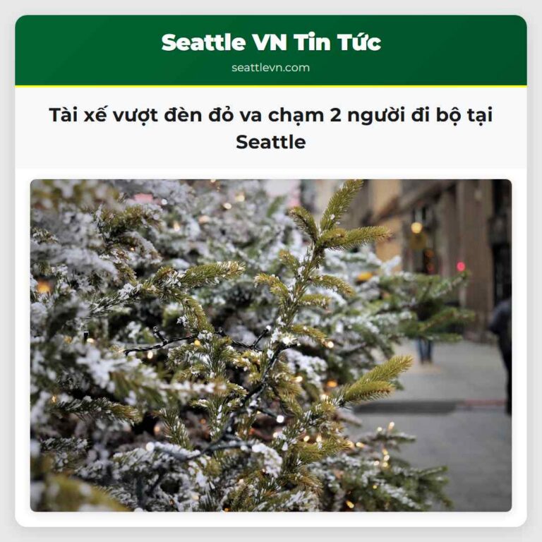 Tài xế vượt đèn đỏ va chạm 2 người đi bộ tại Seattle