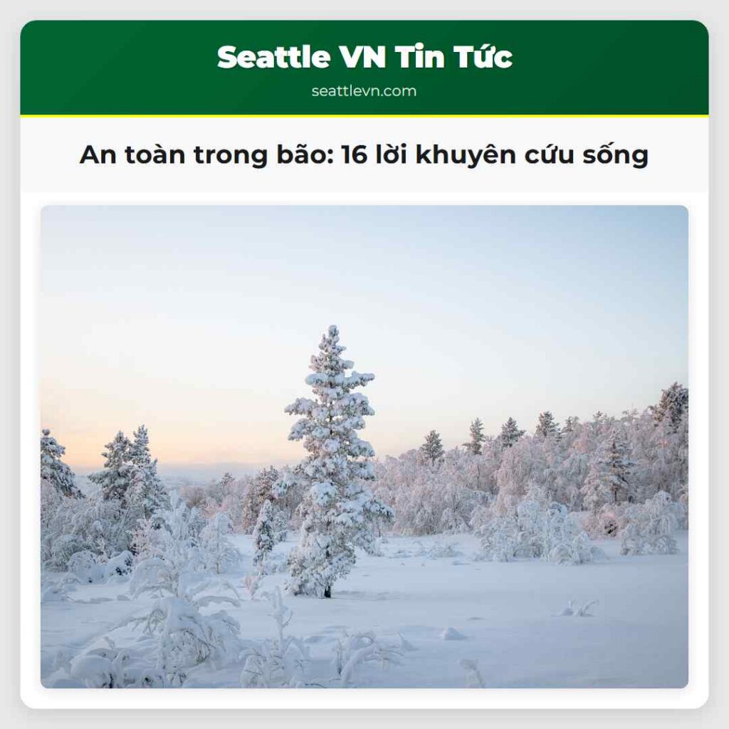 An toàn trong bão: 16 lời khuyên cứu sống