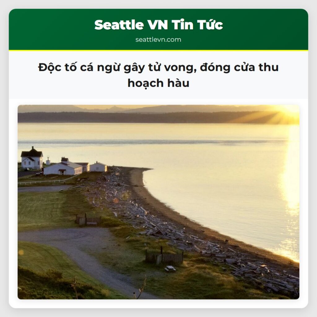 Độc tố cá ngừ gây tử vong, đóng cửa thu hoạch hàu