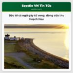 Độc tố cá ngừ gây tử vong đóng cửa thu hoạch hàu