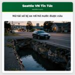 Nữ tài xế bị xe rơi hố nước được cứu