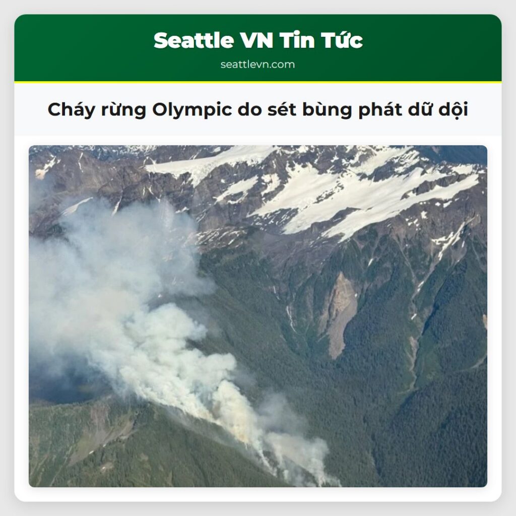 Cháy rừng Olympic do sét bùng phát dữ dội