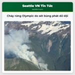Cháy rừng Olympic do sét bùng phát dữ dội
