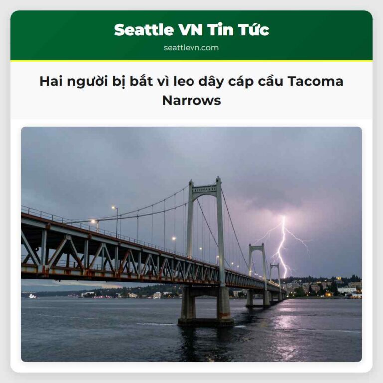Hai người bị bắt vì leo dây cáp cầu Tacoma Narrows