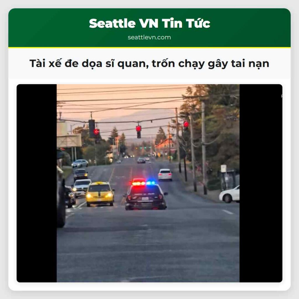 Tài xế đe dọa sĩ quan, trốn chạy gây tai nạn