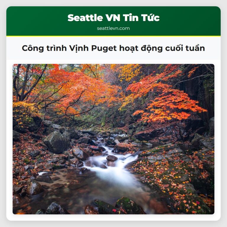 Công trình Vịnh Puget hoạt động cuối tuần