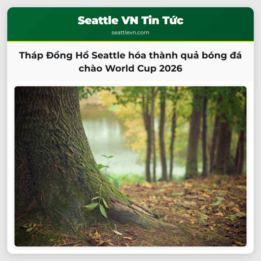Tháp Đồng Hồ Seattle hóa thành quả bóng đá chào