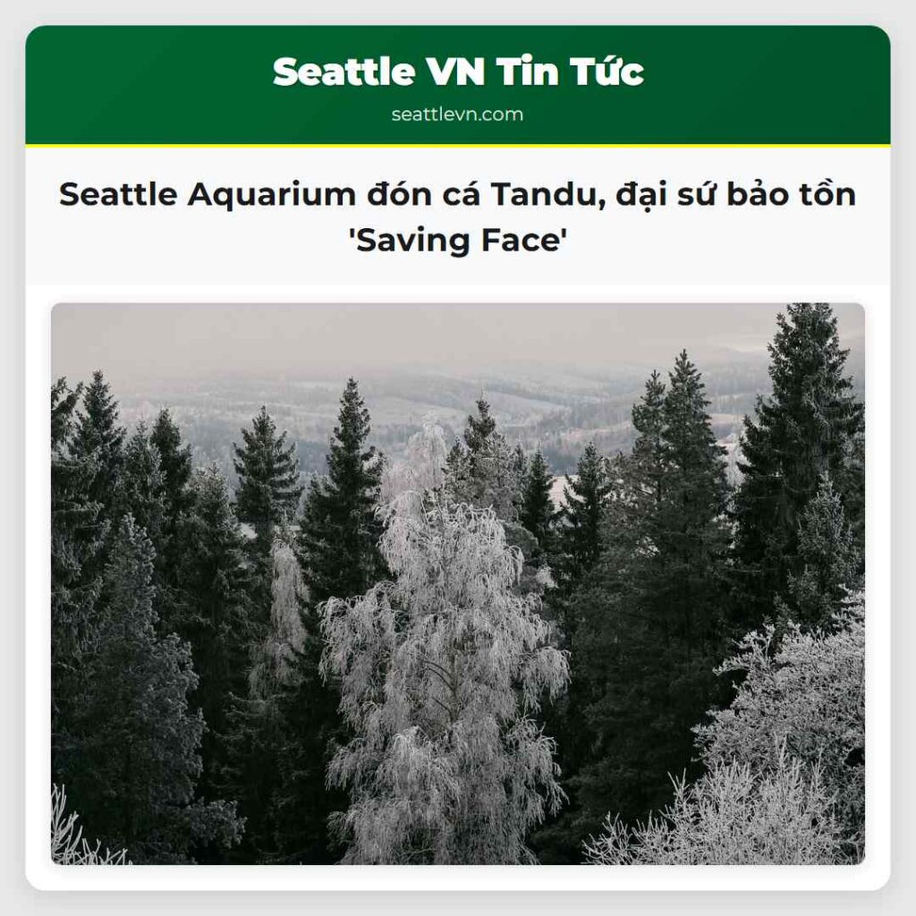 Seattle Aquarium đón cá Tandu, đại sứ bảo tồn
