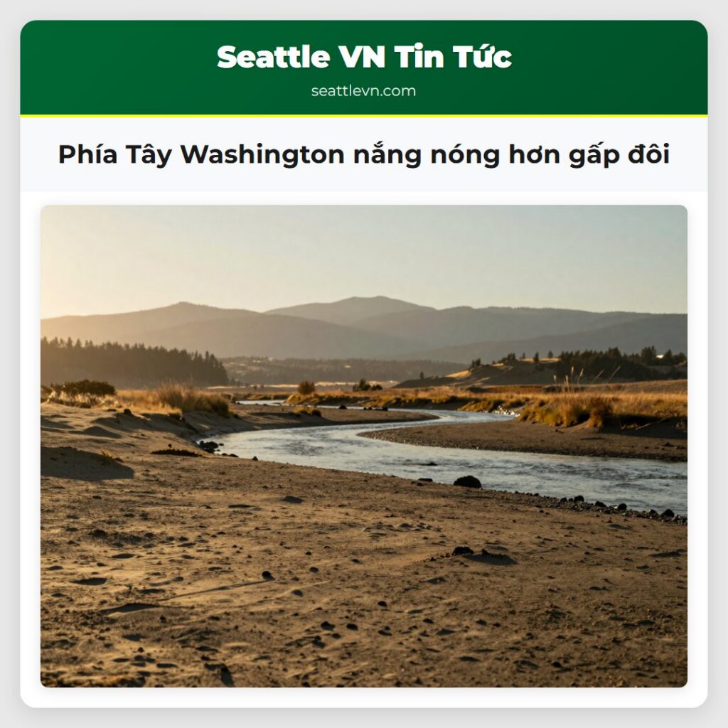Phía Tây Washington nắng nóng hơn gấp đôi