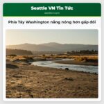Phía Tây Washington nắng nóng hơn gấp đôi