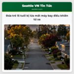 Đứa trẻ 15 tuổi bị lừa mất máy bay điều khiển từ xa