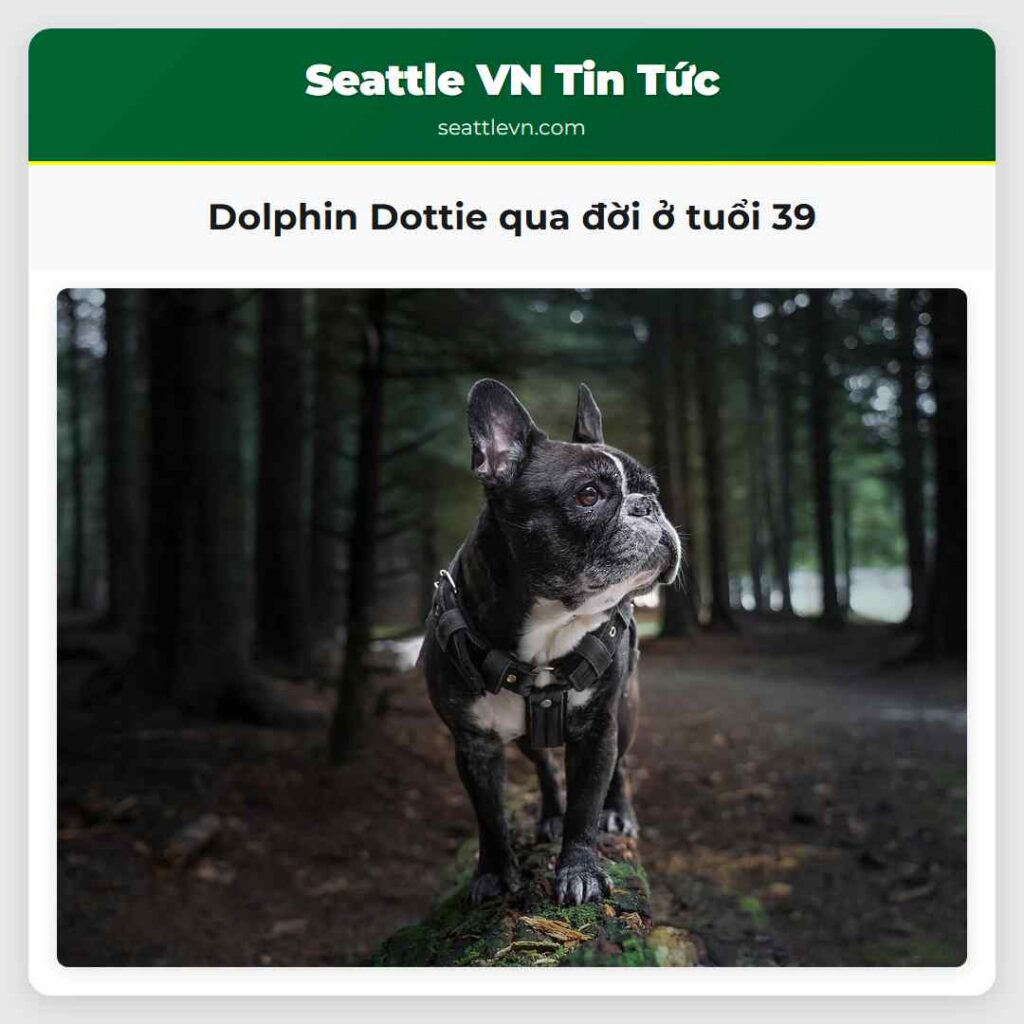 Dolphin Dottie qua đời ở tuổi 39