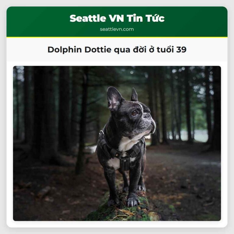 Dolphin Dottie qua đời ở tuổi 39