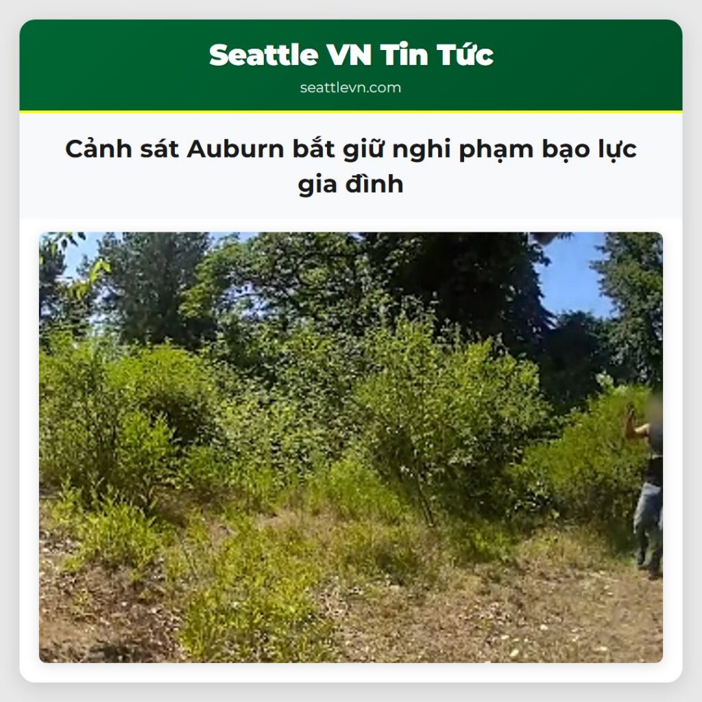 Cảnh sát Auburn bắt giữ nghi phạm bạo lực gia đình