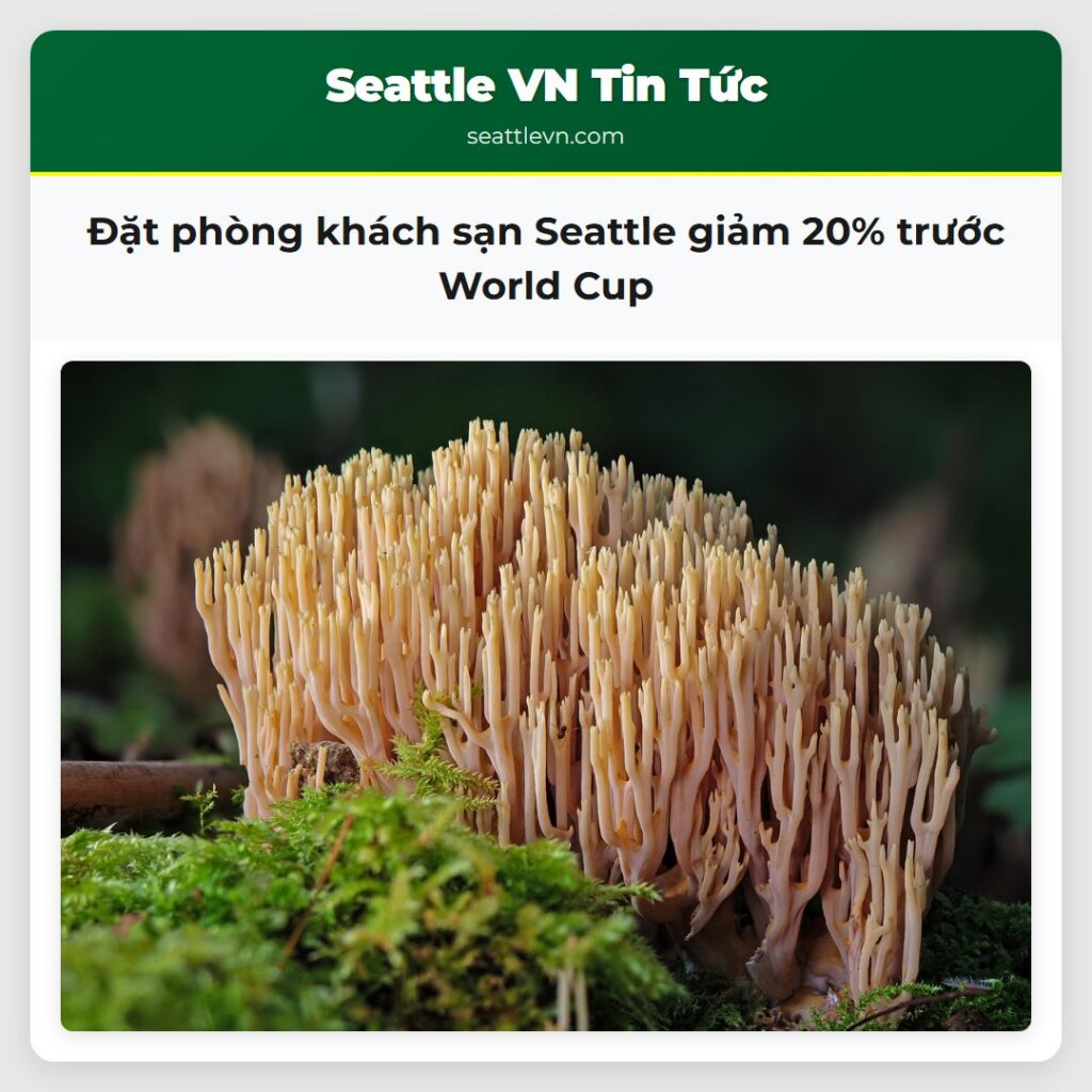 Đặt phòng khách sạn Seattle giảm 20% trước World