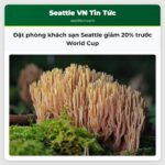Đặt phòng khách sạn Seattle giảm 20% trước World Cup