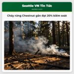 Cháy rừng Chestnut gần đạt 20% kiểm soát
