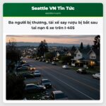 Ba người bị thương tài xế say rượu bị bắt sau tai nạn 6 xe trên I-405