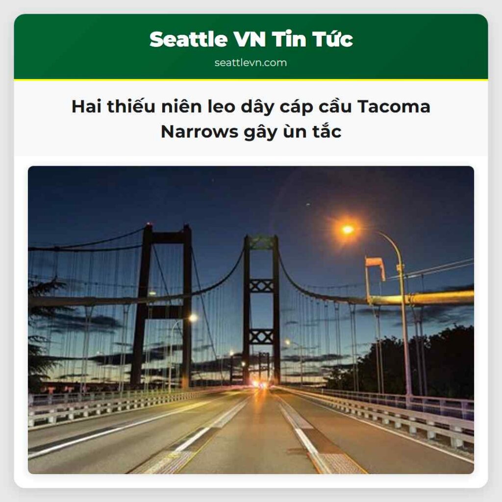 Hai thiếu niên leo dây cáp cầu Tacoma Narrows gây