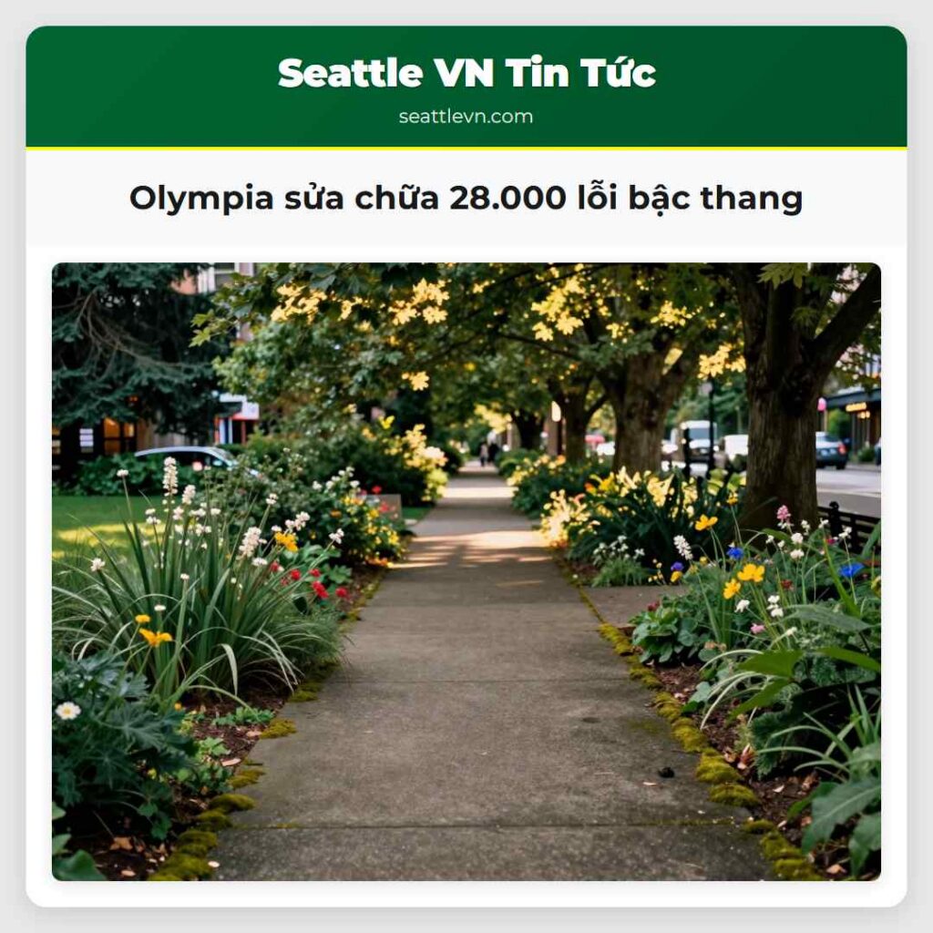 Olympia sửa chữa 28.000 lỗi bậc thang
