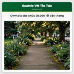 Olympia sửa chữa 28.000 lỗi bậc thang