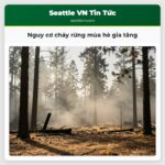 Nguy cơ cháy rừng mùa hè gia tăng