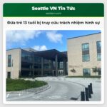 Đứa trẻ 13 tuổi bị truy cứu trách nhiệm hình sự
