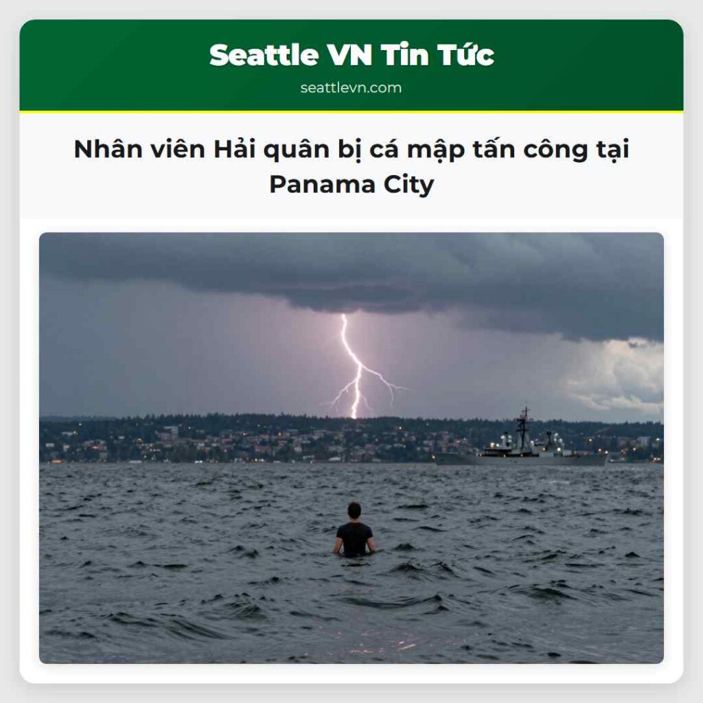 Nhân viên Hải quân bị cá mập tấn công tại Panama