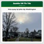 Mưa quay lại phía tây Washington