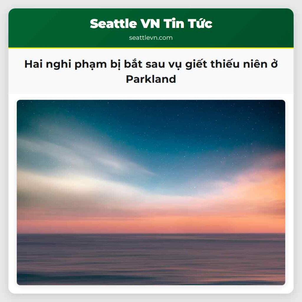 Hai nghi phạm bị bắt sau vụ giết thiếu niên ở