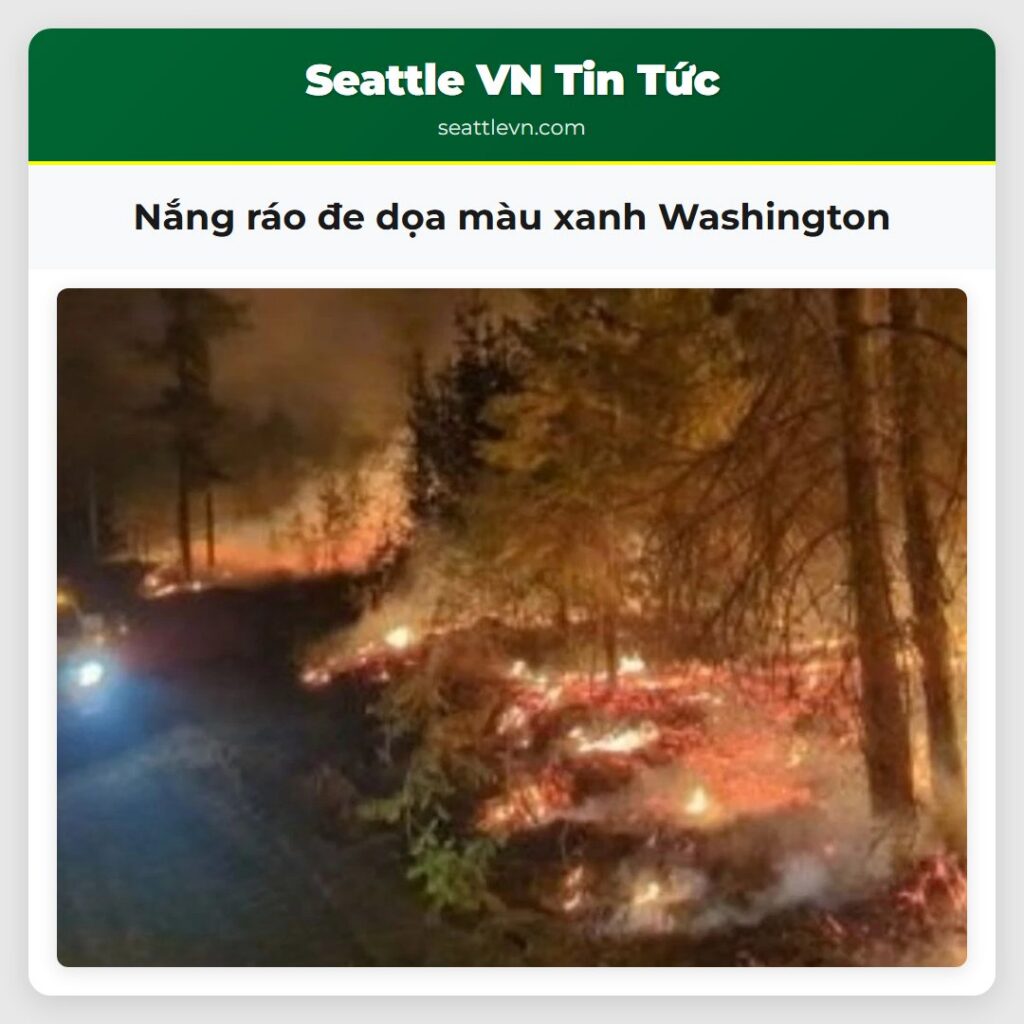 Nắng ráo đe dọa màu xanh Washington