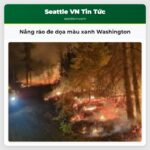 Nắng ráo đe dọa màu xanh Washington