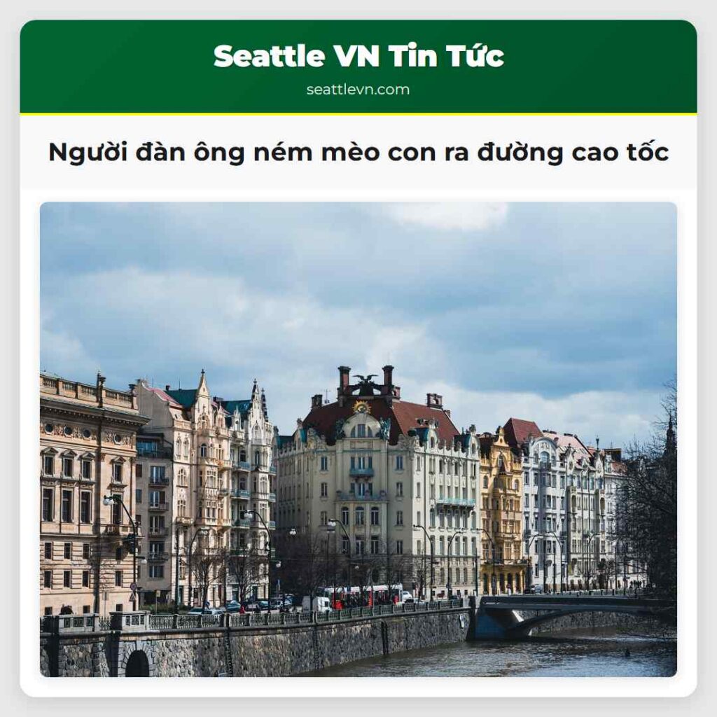 Người đàn ông ném mèo con ra đường cao tốc