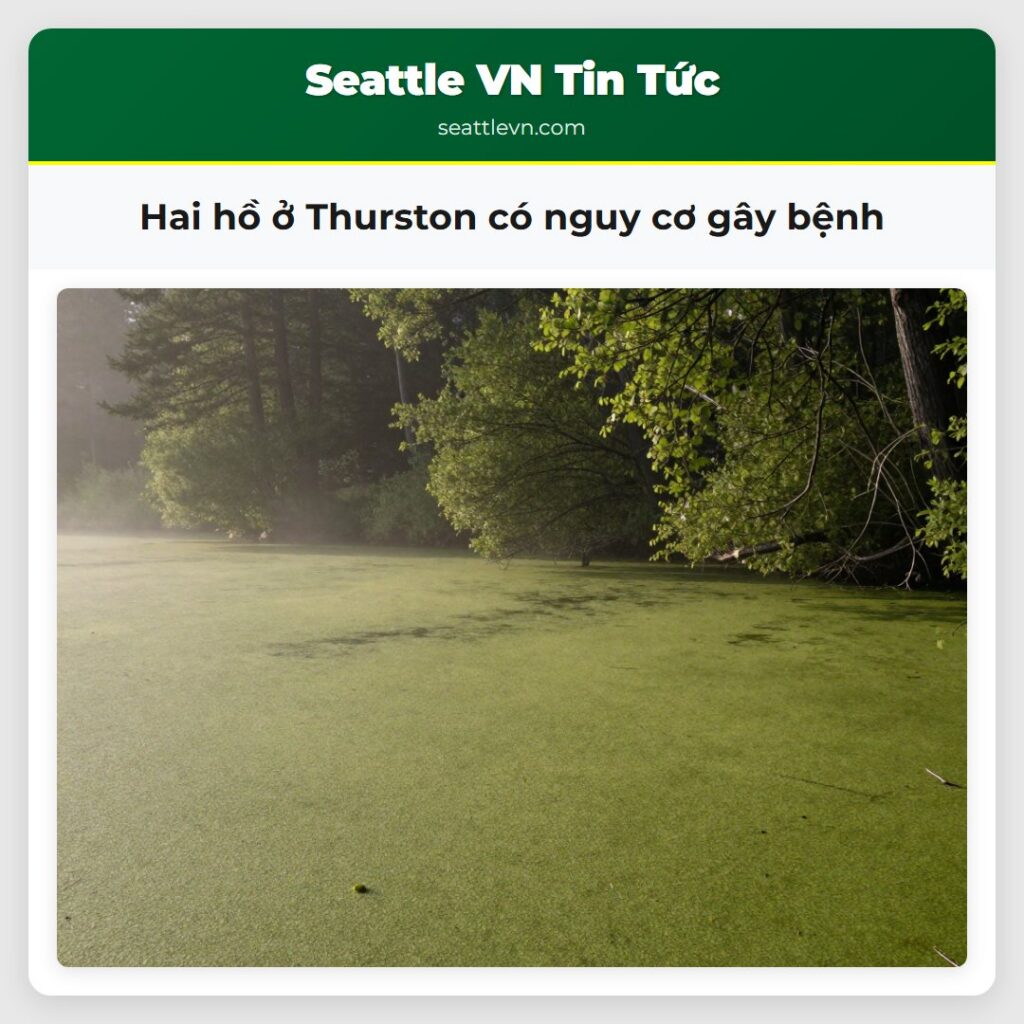 Hai hồ ở Thurston có nguy cơ gây bệnh