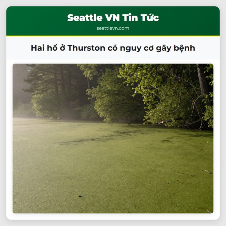Hai hồ ở Thurston có nguy cơ gây bệnh