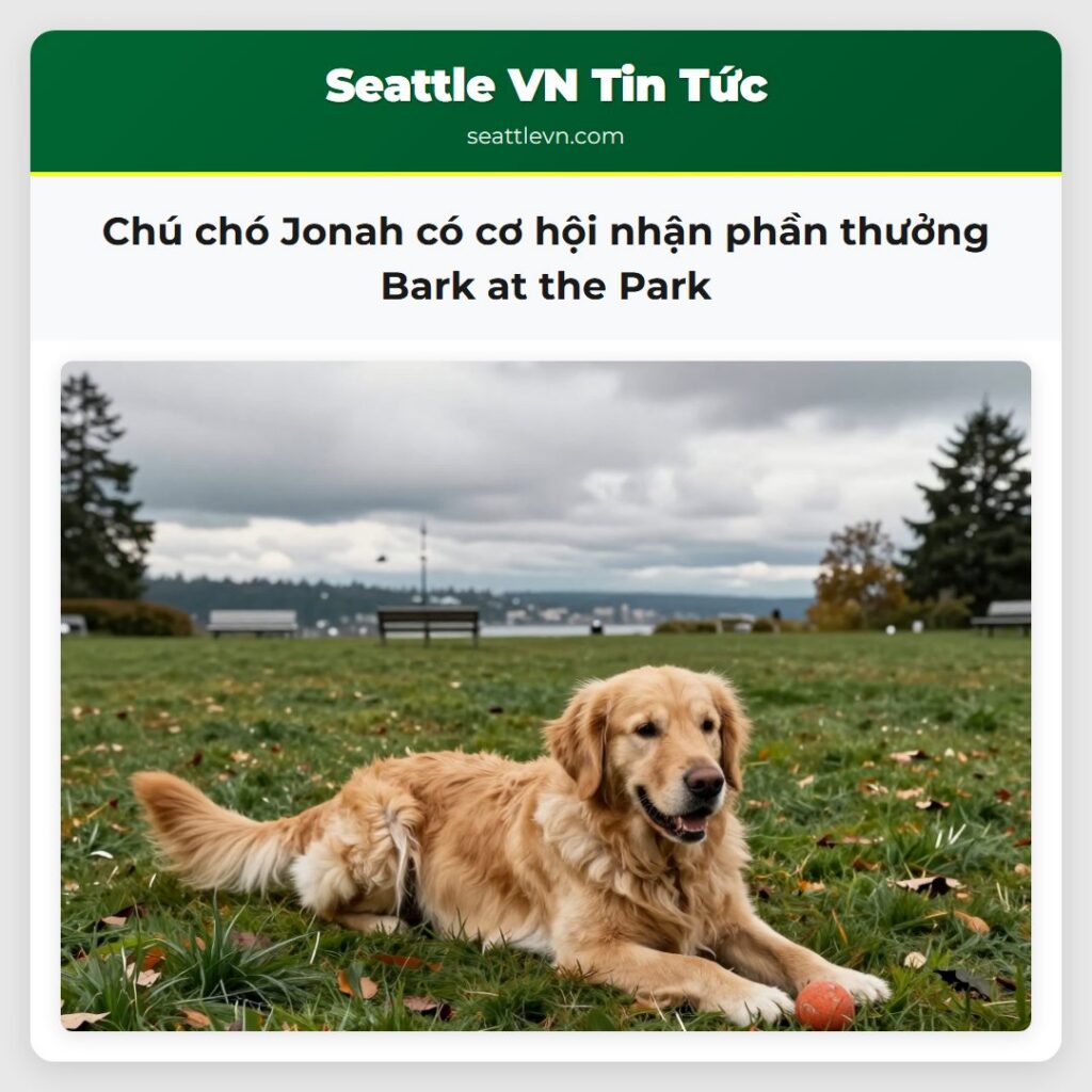 Chú chó Jonah có cơ hội nhận phần thưởng Bark at