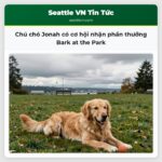 Chú chó Jonah có cơ hội nhận phần thưởng Bark at the Park