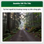 Tại hai người bị thương trong vụ tấn công gấu