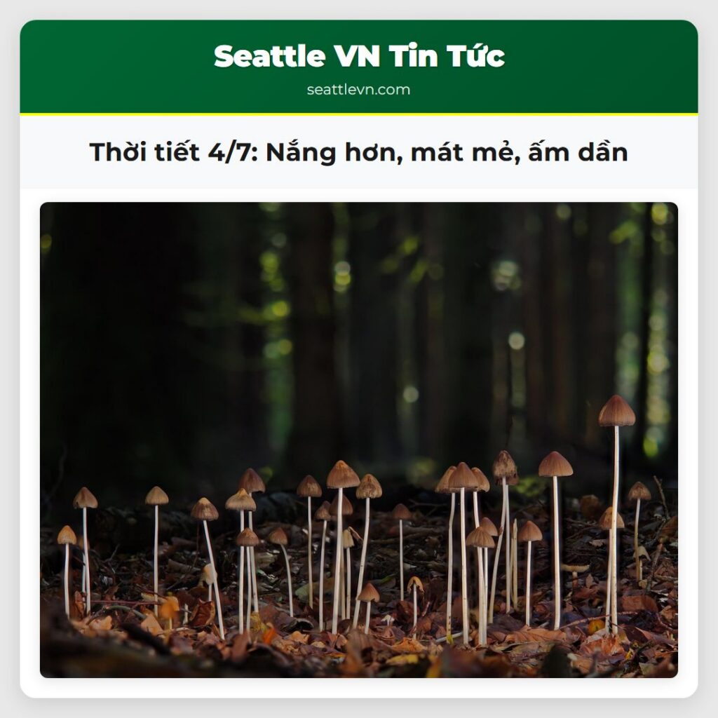 Thời tiết 4/7: Nắng hơn, mát mẻ, ấm dần