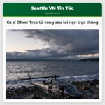 Ca sĩ Oliver Tree tử vong sau tai nạn trực thăng