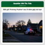 Bắt giữ Putney Pusher sau 9 năm gây tai nạn