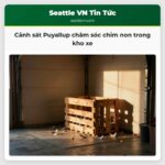 Cảnh sát Puyallup chăm sóc chim non trong kho xe
