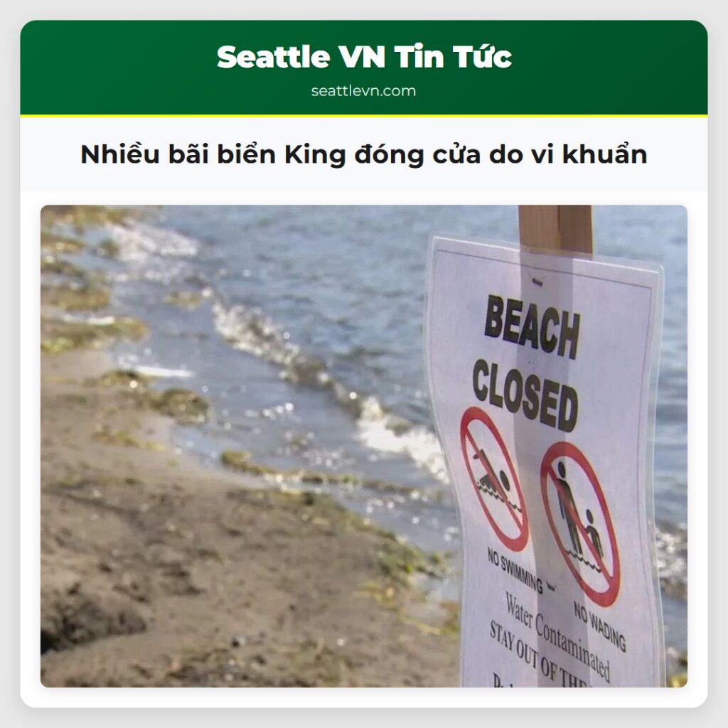 Nhiều bãi biển King đóng cửa do vi khuẩn