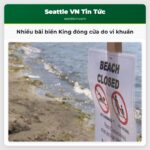 Nhiều bãi biển King đóng cửa do vi khuẩn